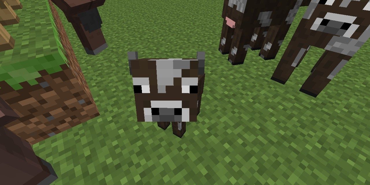 Baby cow in Minecraft