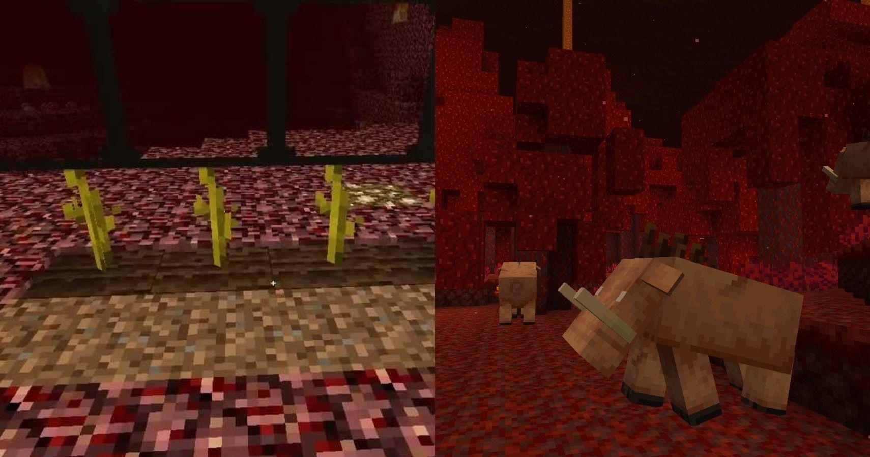 Minecraft: How to Survive the Nether