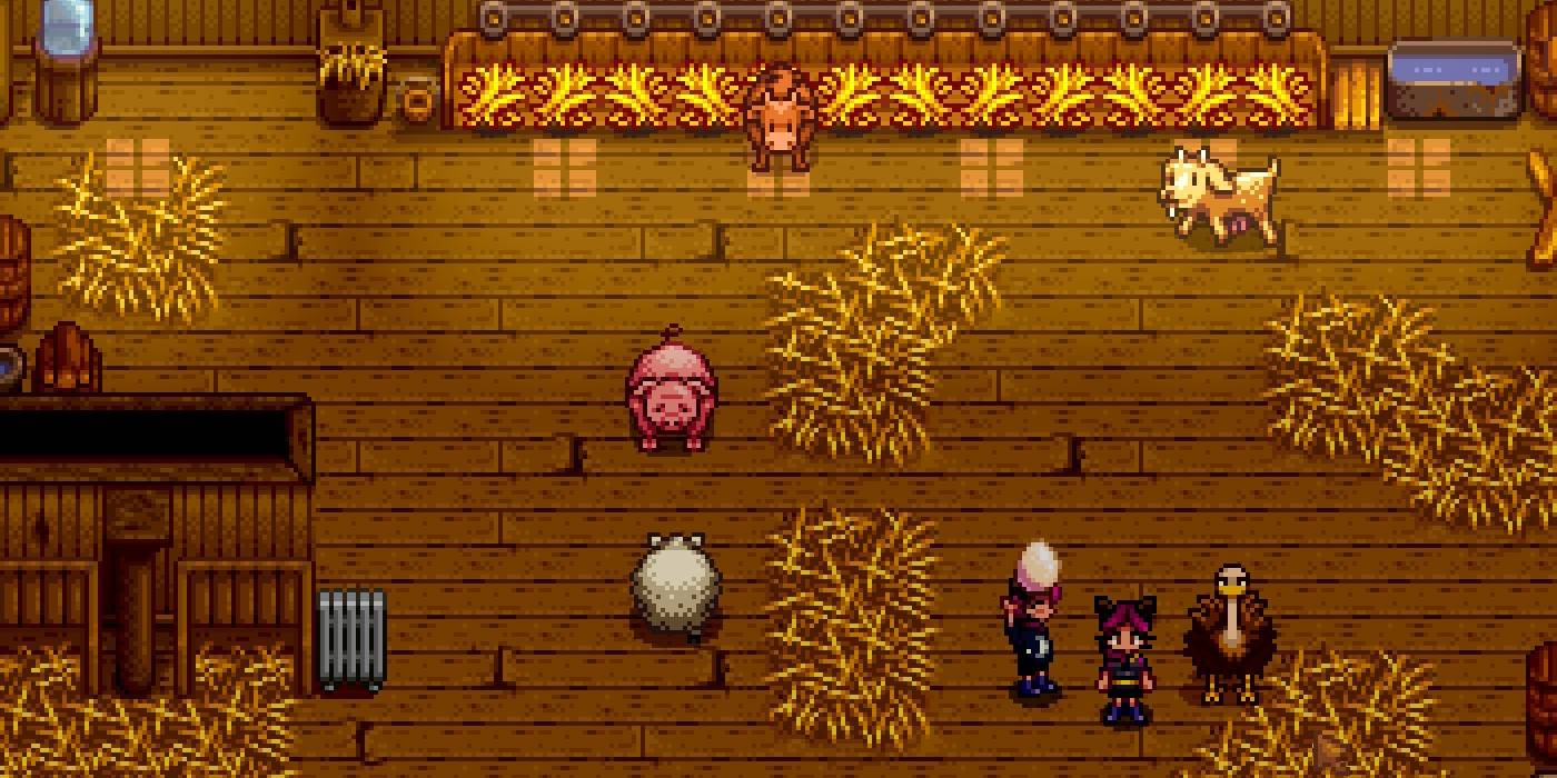 15 Best Items In Stardew Valley That You Didn T Know You Could Get