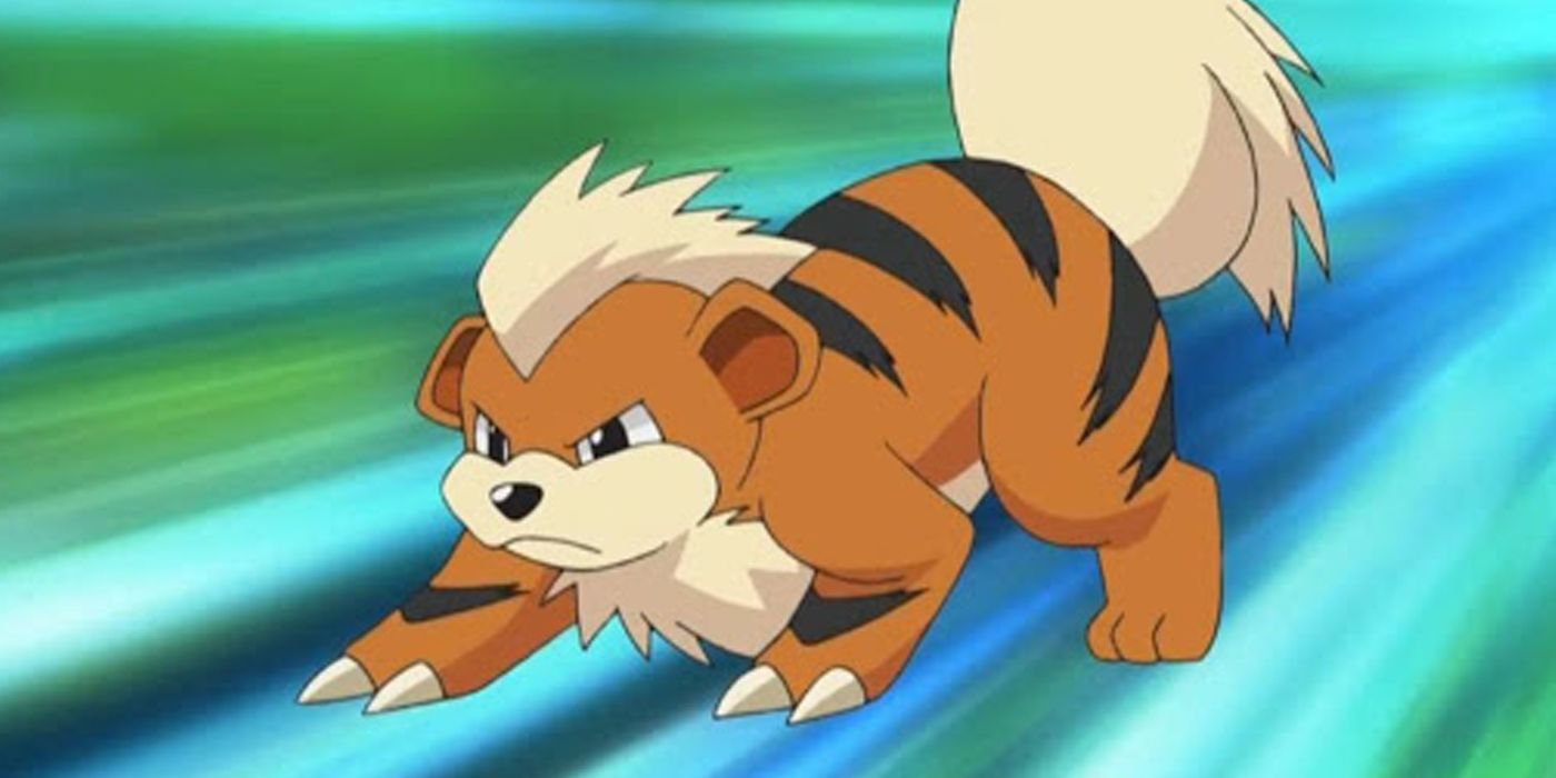 Pokemon growlithe