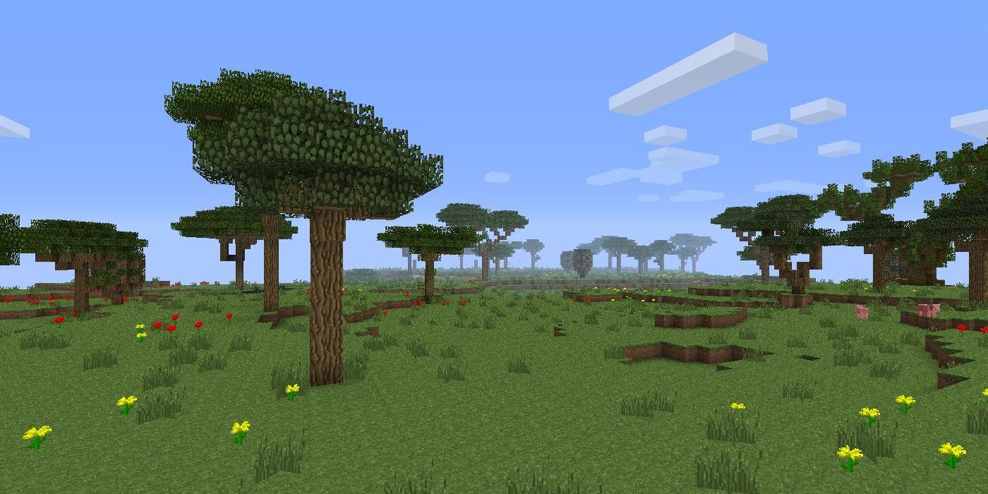 Minecraft flat land