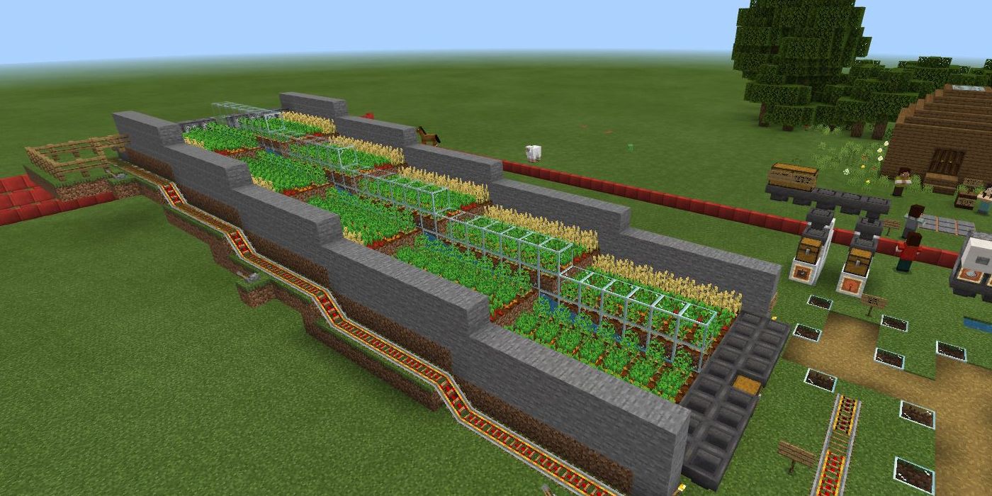 Crops in rows in Minecraft