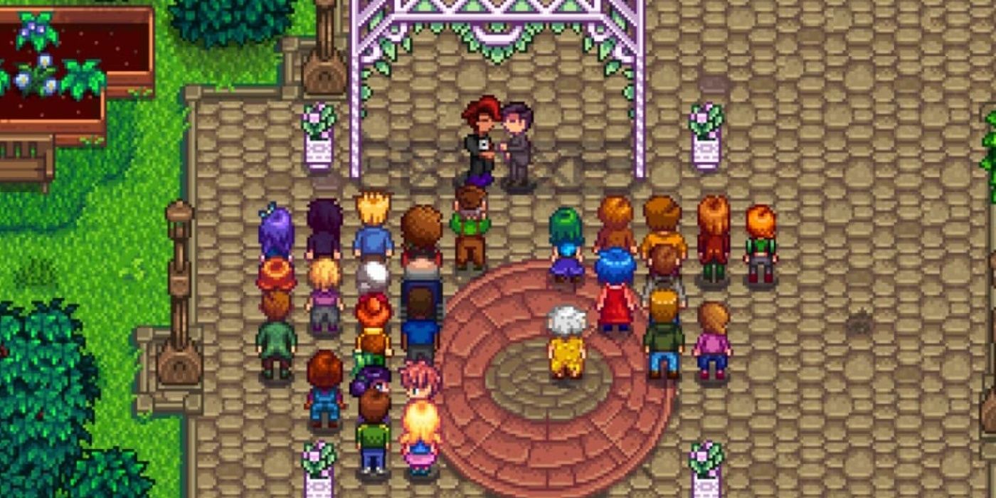 Stardew Valley A Complete Guide To Marrying Shane