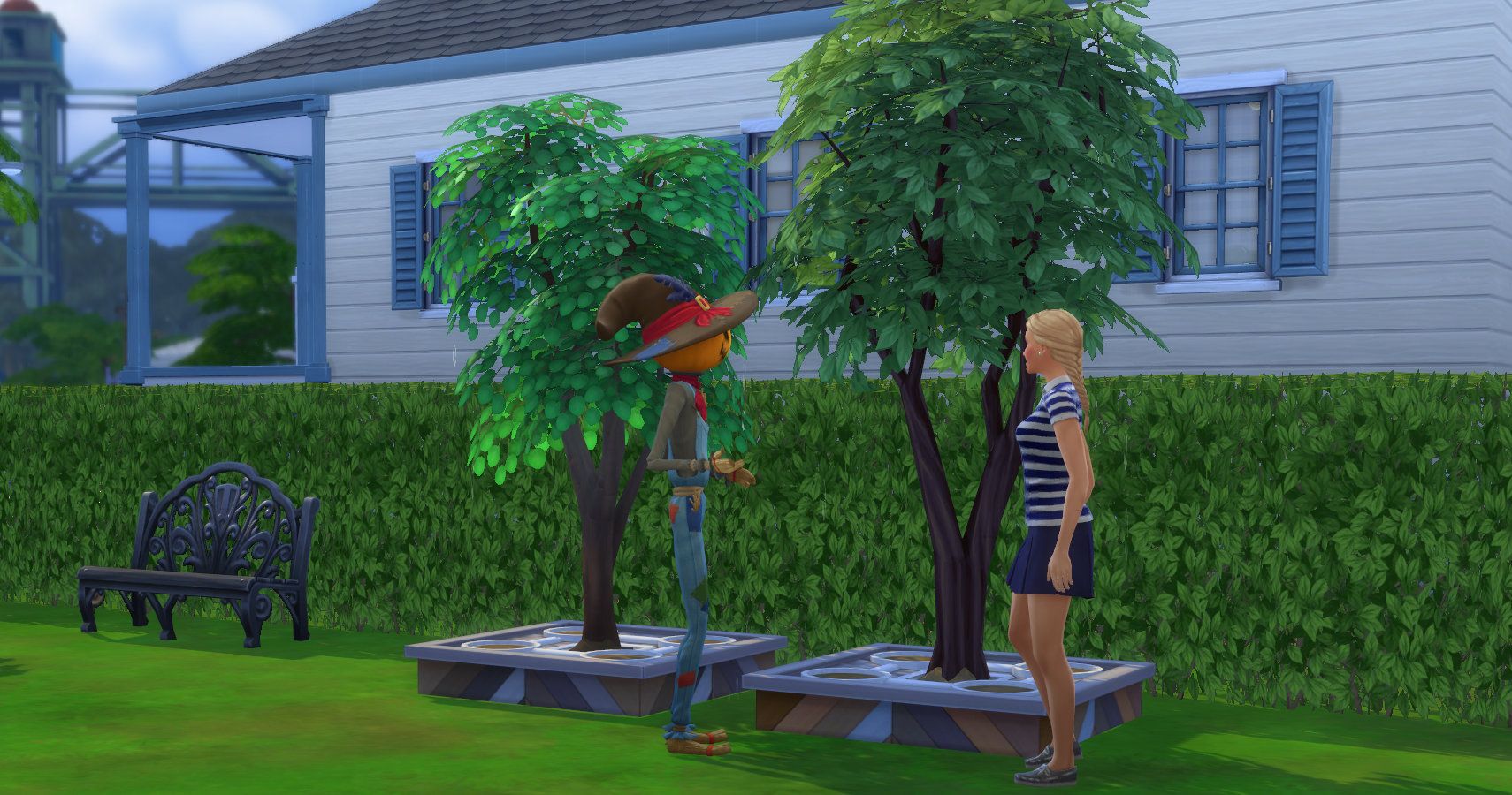 chatting to patchy by the trees