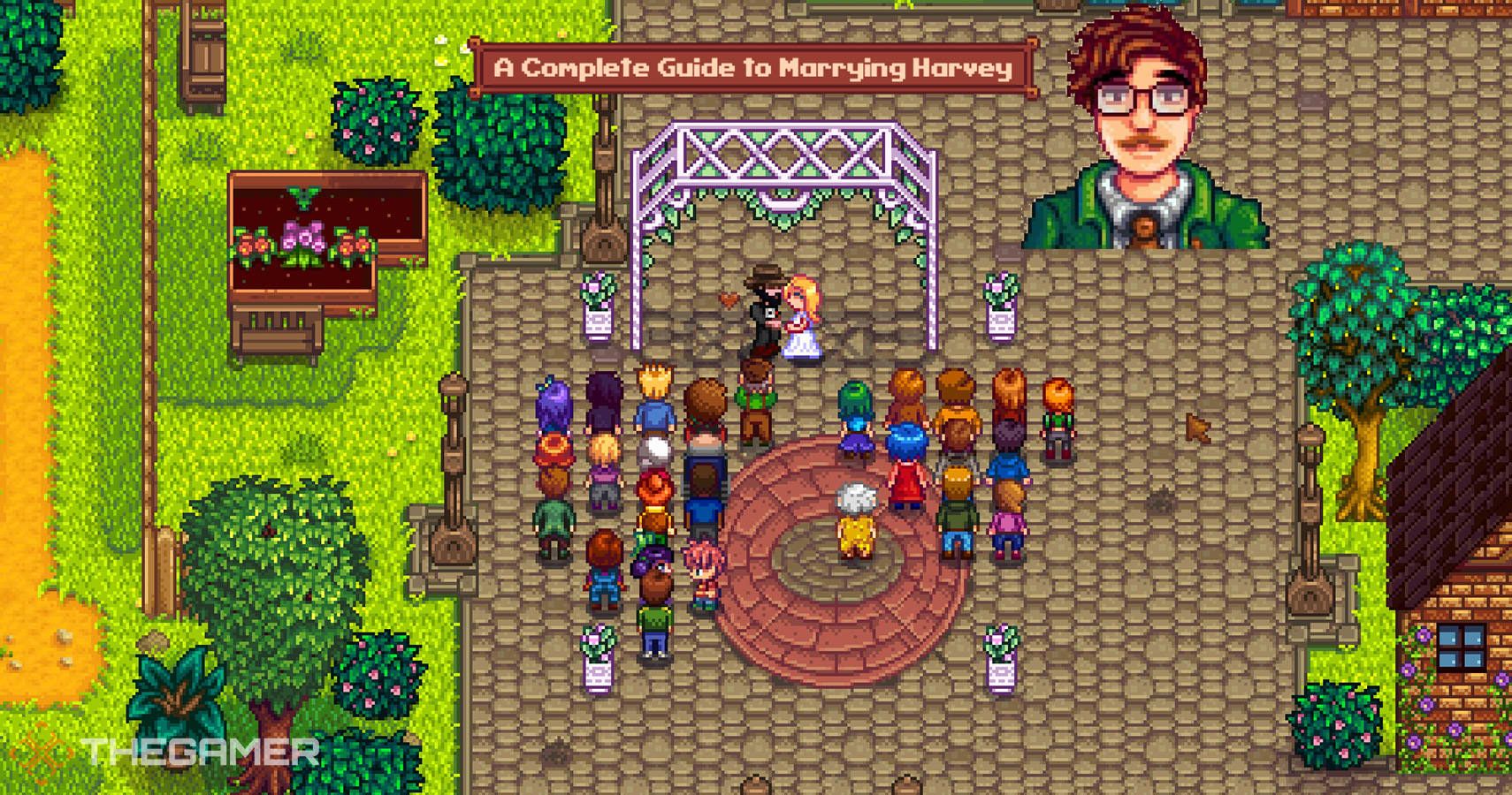 Stardew Valley A Complete Guide to Marrying Harvey