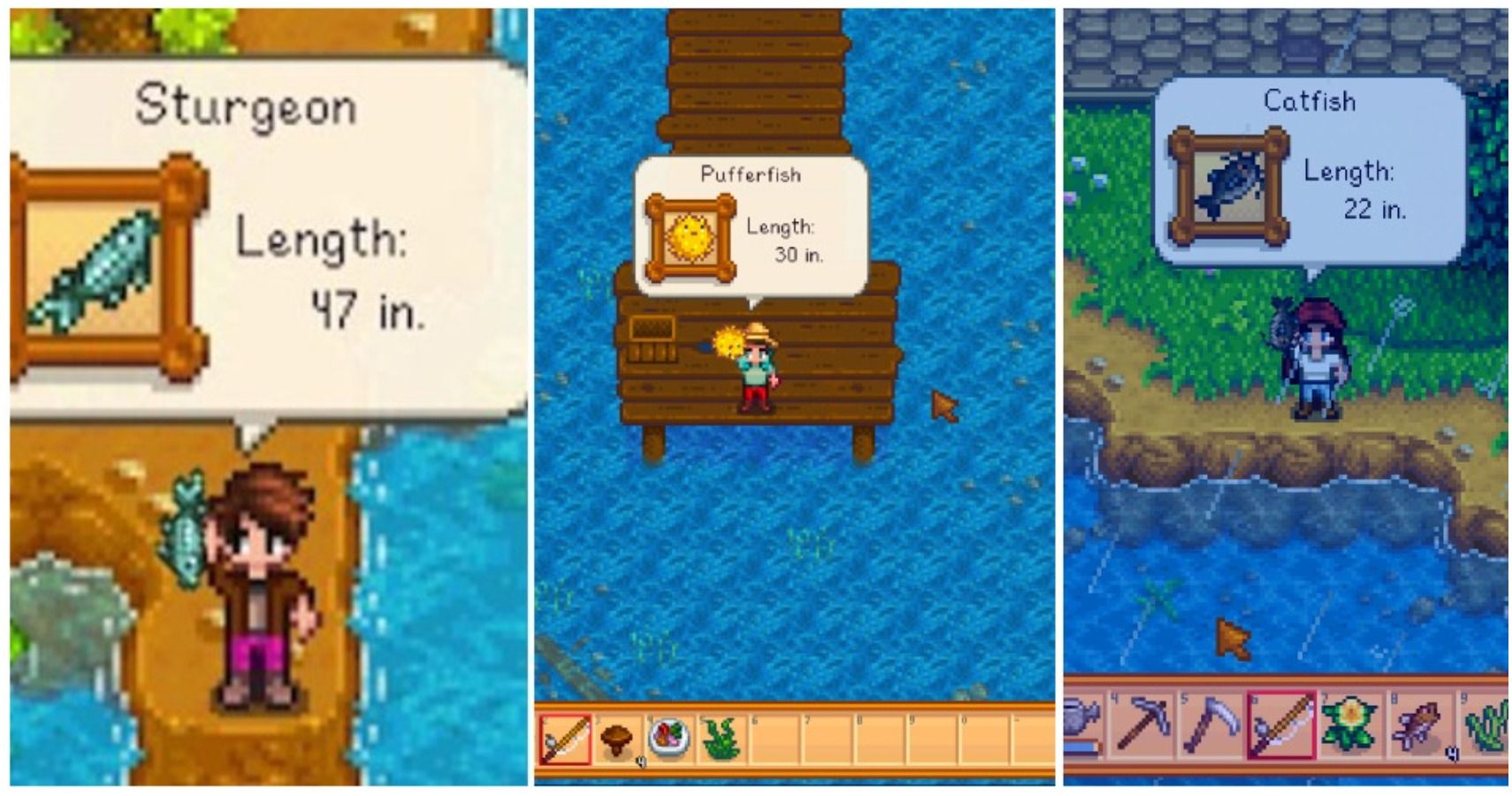 stardew valley rare fish guide