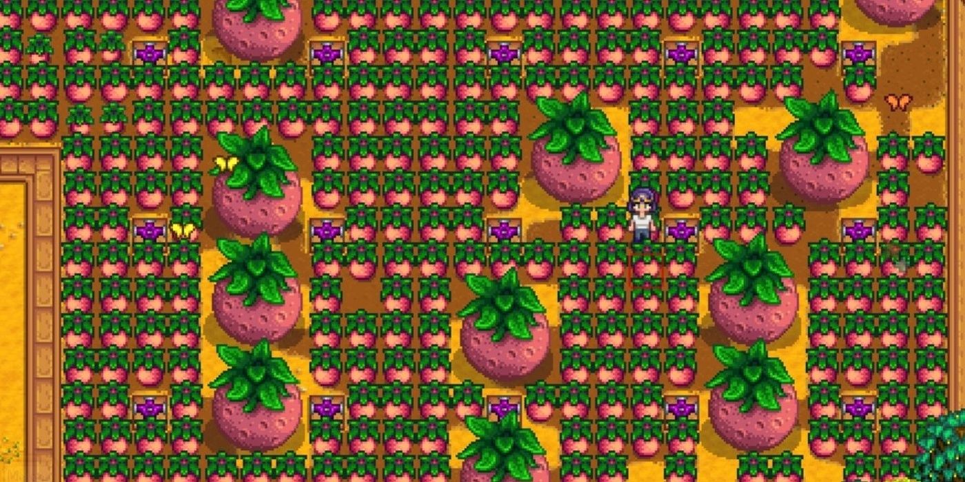 Stardew Valley The Ultimate Guide To Growing Crops