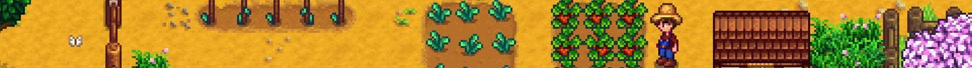 stardew valley farming basics