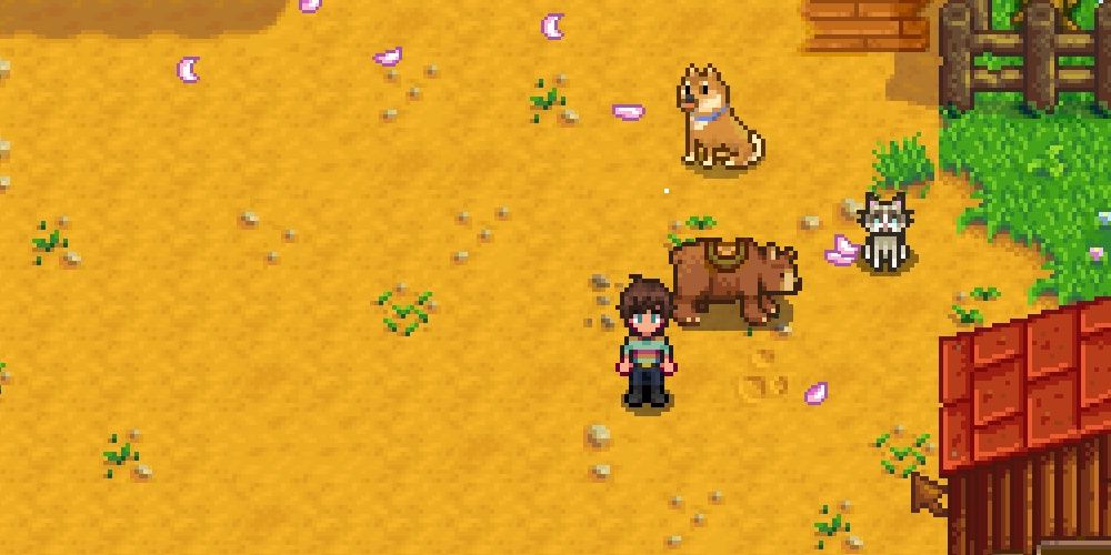 Stardew Valley Pet Adoption