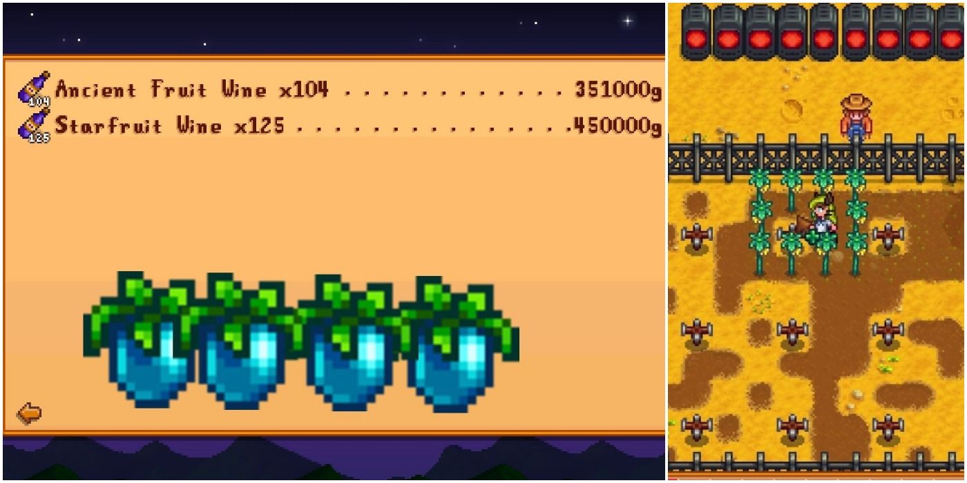 Stardew Valley The Best Fruits For Wine (And How To Get Them)