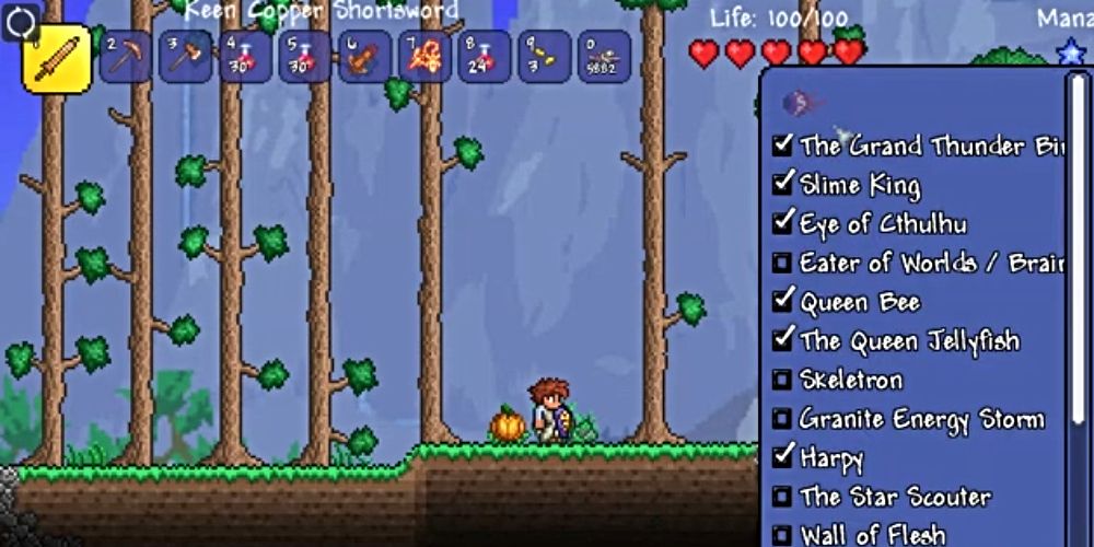 Terraria Mods That Makes The Game Better