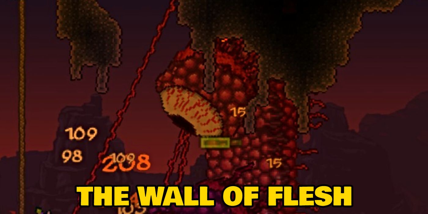 Wall of Flesh in Terraria