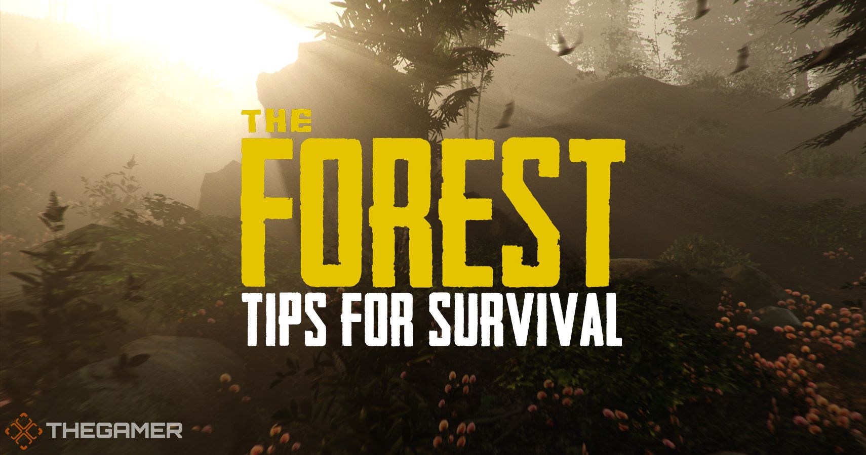 The Forest: Beginner Tips For Survival