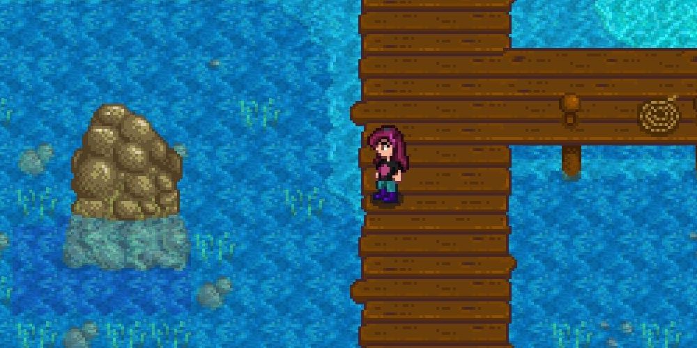 Вещи, которые все пропустили в Stardew Valley