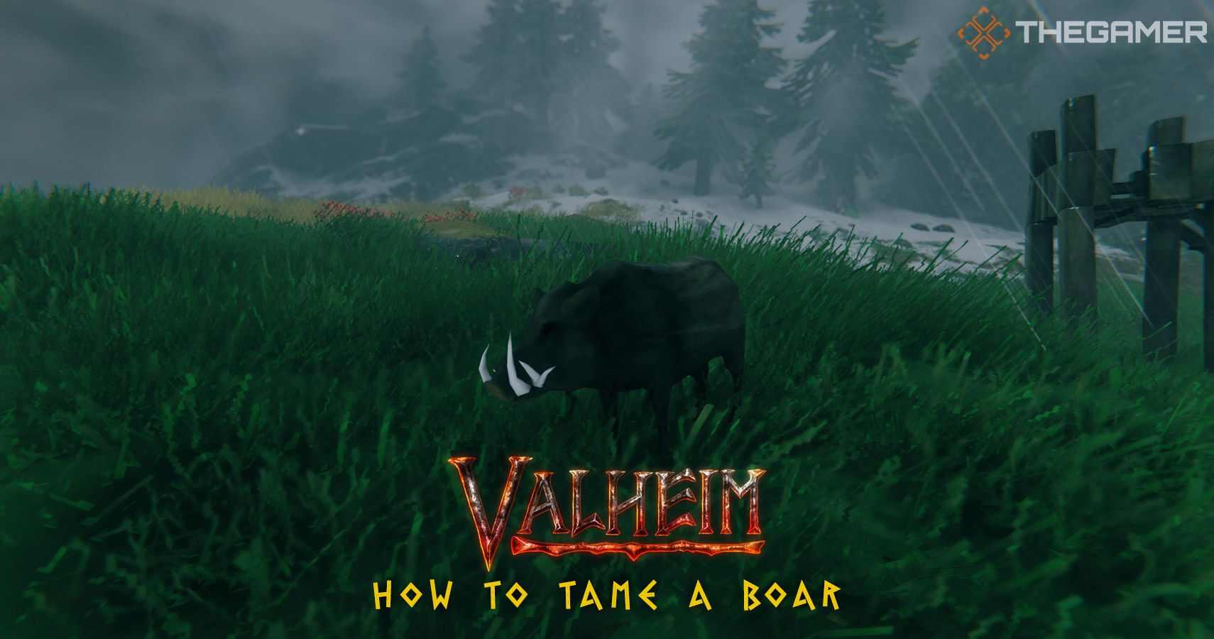 Valheim How To Tame A Boar