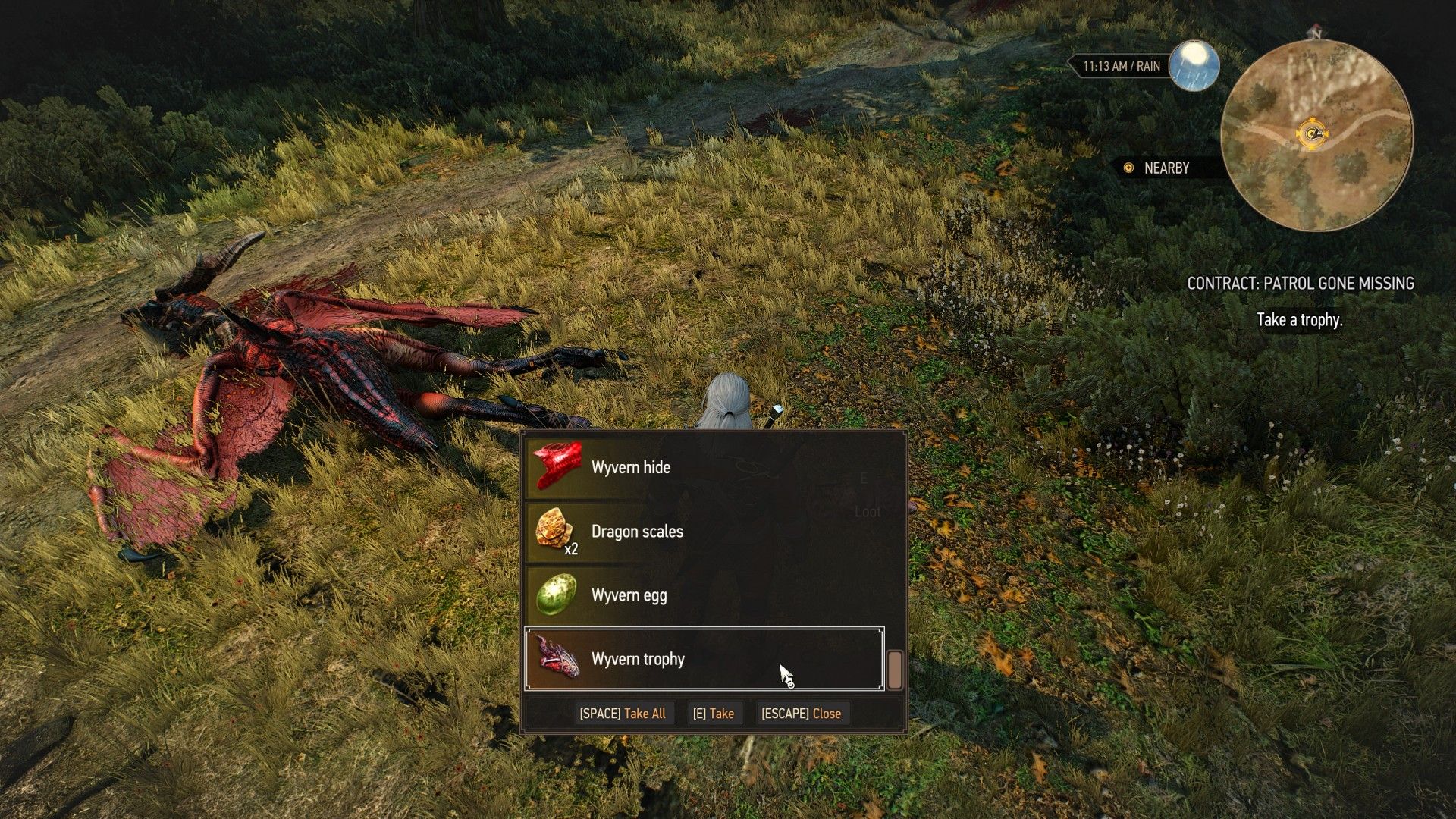 wyvern witcher 3 patrol gone missing