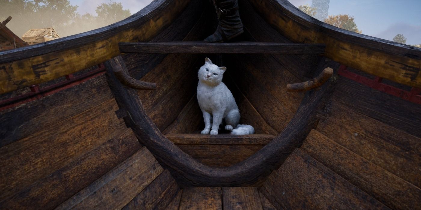 Viking Cat in Assassin's Creed Valhalla