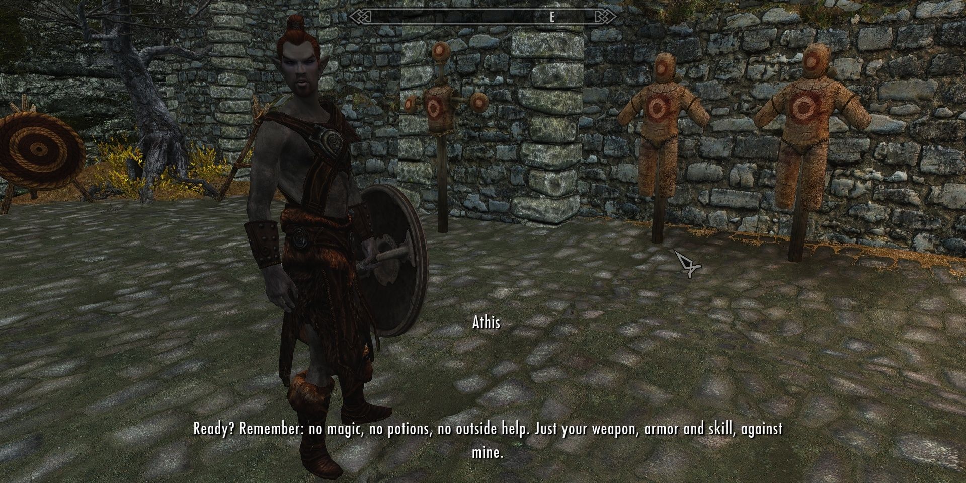 Dunmer Elf Athis teachign fighting skills in Whiterun