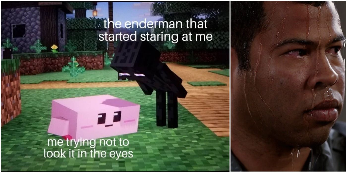 Minecraft: 10 Enderman Memes That Are Hilariously Funny