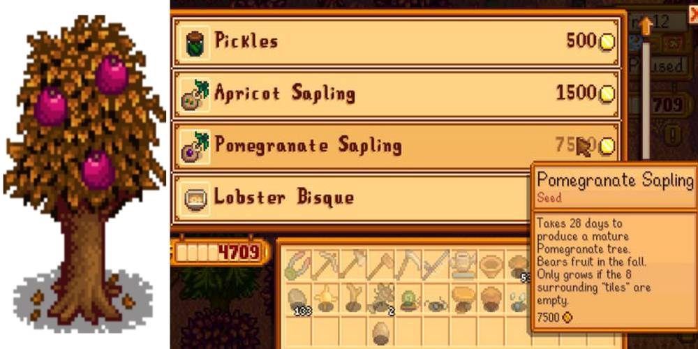 Stardew Valley The Best Fruits For Wine And How To Get Them