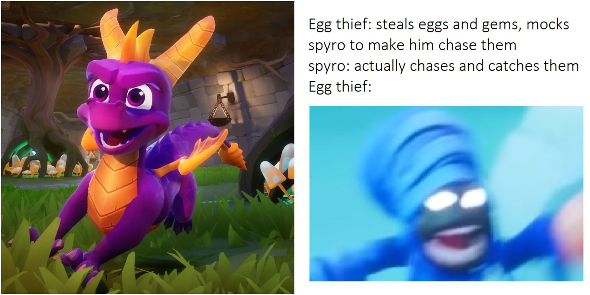 spyro the dragon egg thief