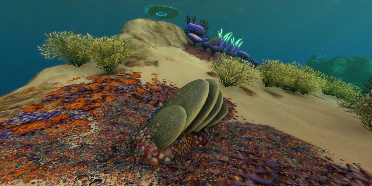 Coral Shell Plate in Subnautica