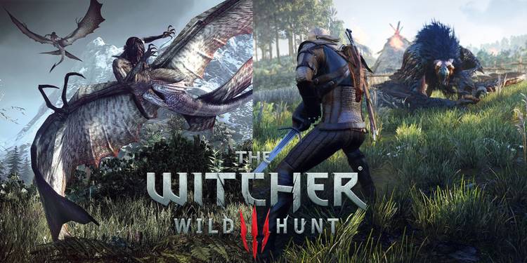 The Witcher 3: The 9 Rarest Crafting Components & How Much ...