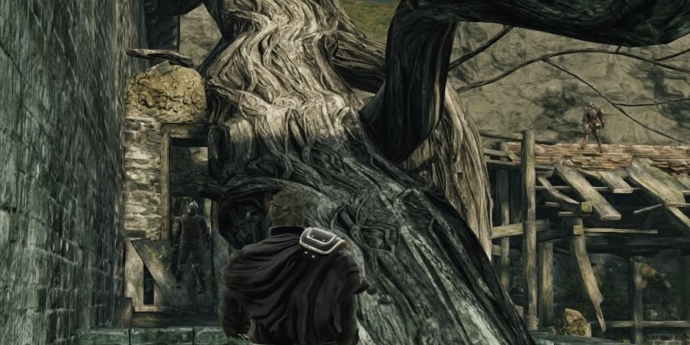 Dark Souls Tree Forest