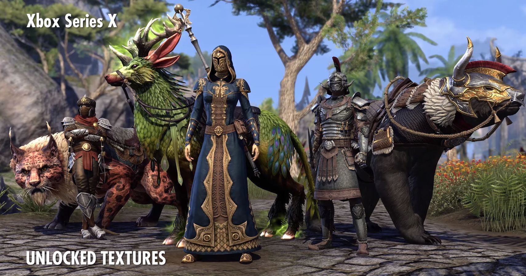 Elder Scrolls Online NextGen Update Release Date And Details