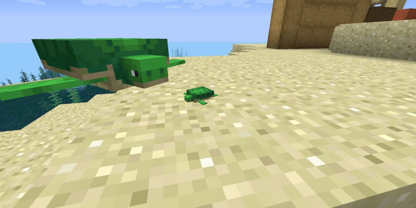 Minecraft baby turtle on sand next to adult turtle