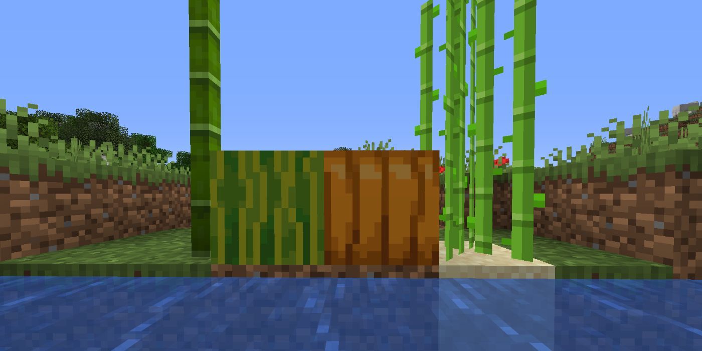 Minecraft bamboo, melon, pumpkin, sugar cane