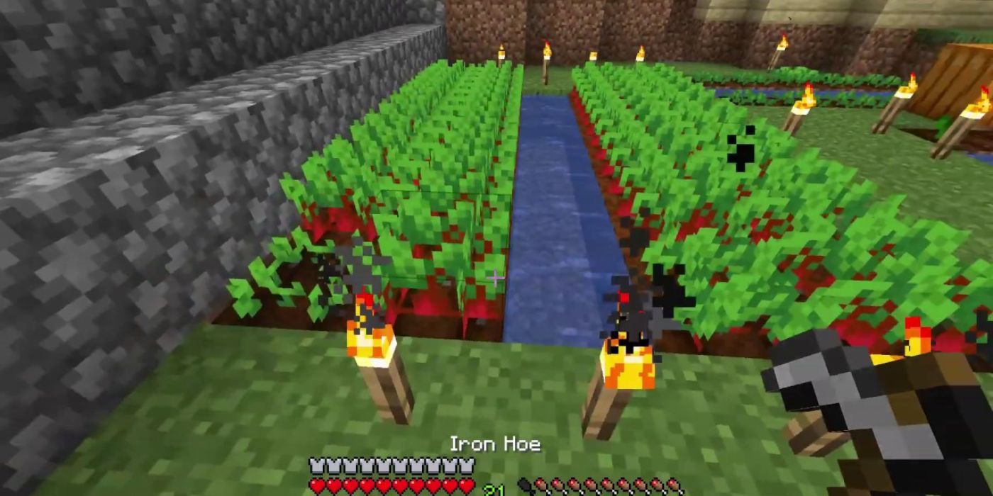 Minecraft beetroot farm