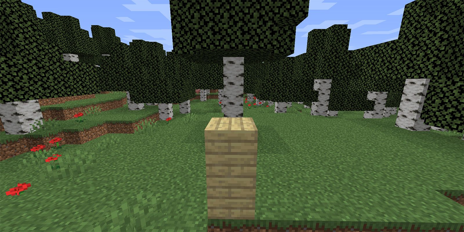 Minecraft Birch Planks