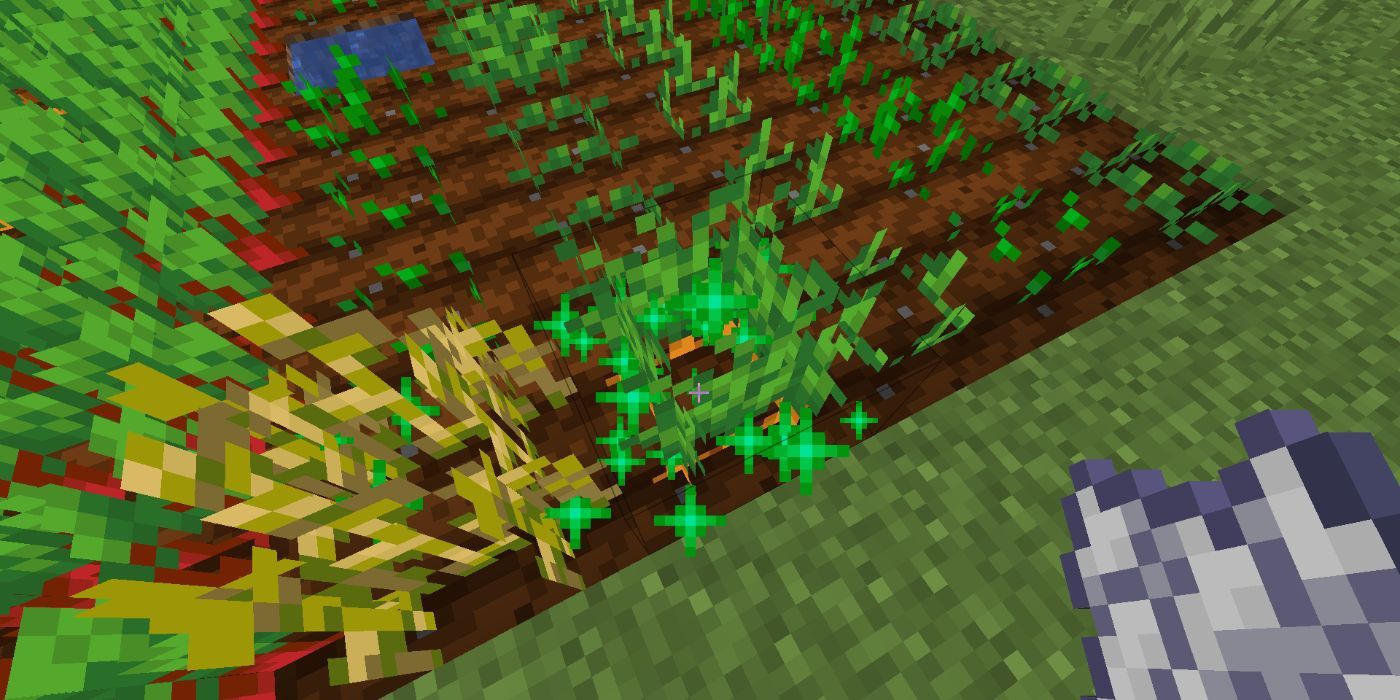Minecraft bone meal being used to grow crops