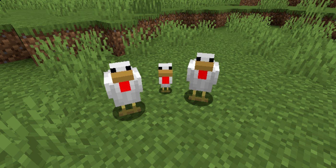 Minecraft chickens