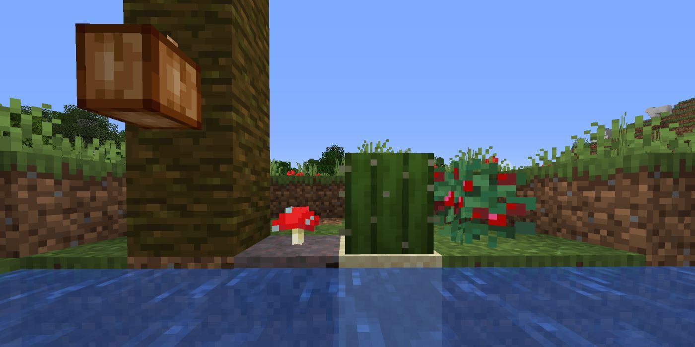 Minecraft cocoa beans, mushroom, cactus and sweet berries