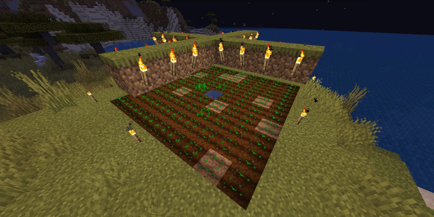 Minecraft crops growing during night time