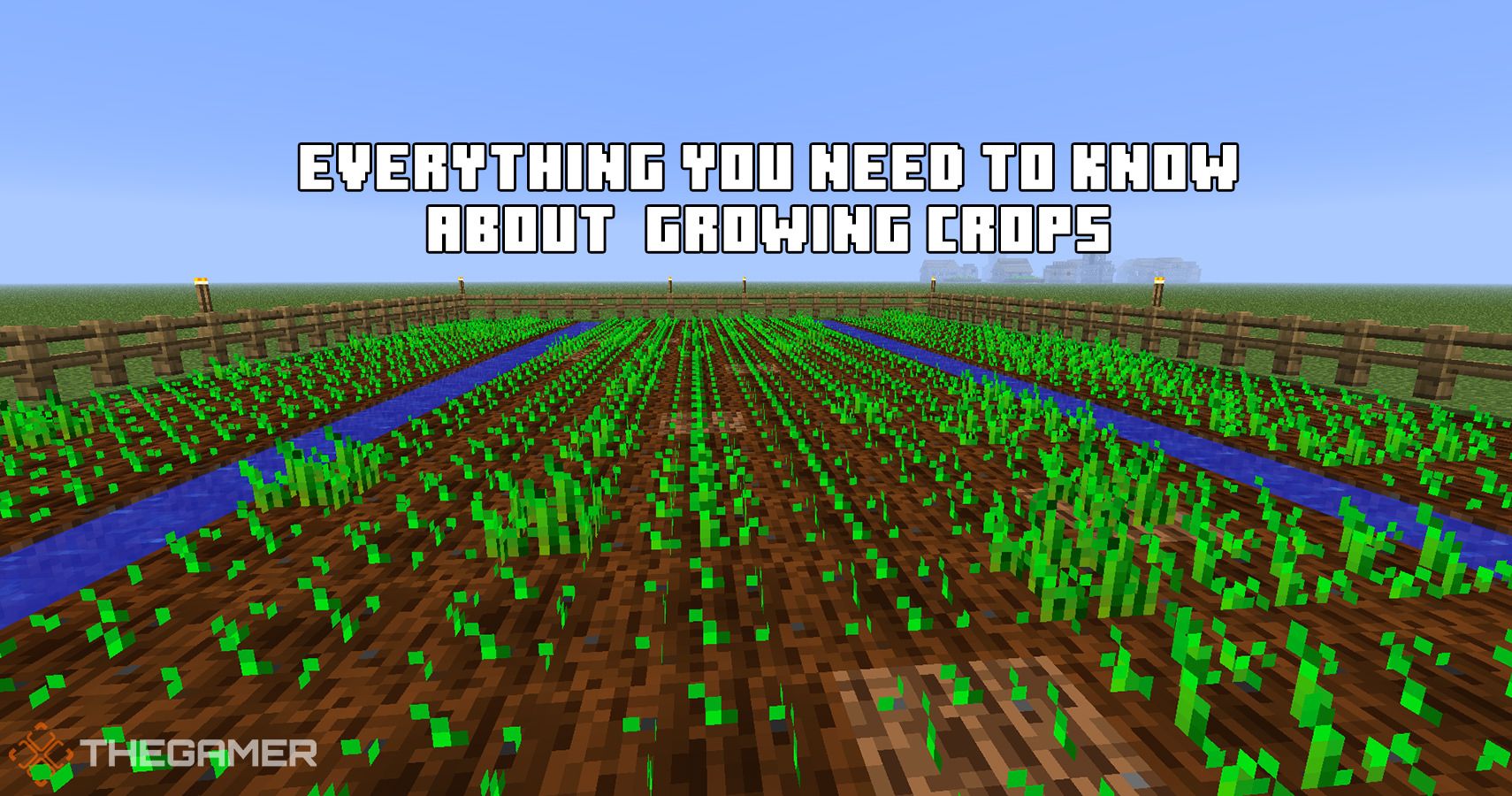  Minecraft: Everything You Need To Know About Growing Crops
