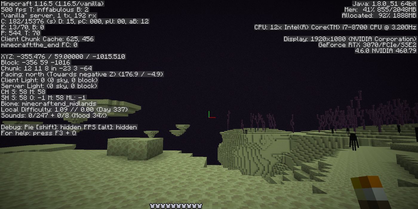 Minecraft F3 view in the end