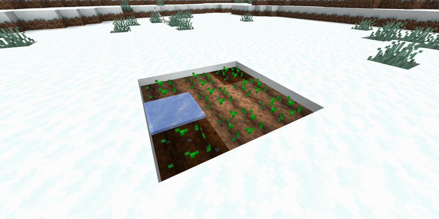 Minecraft snow biome dry farm with icy water