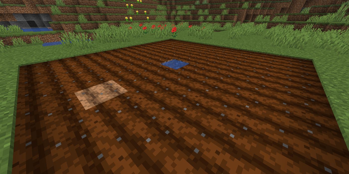 Minecraft hydrated farmland