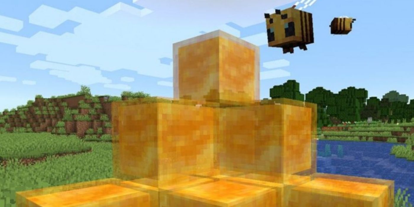 Minecraft honey blocks and a bee