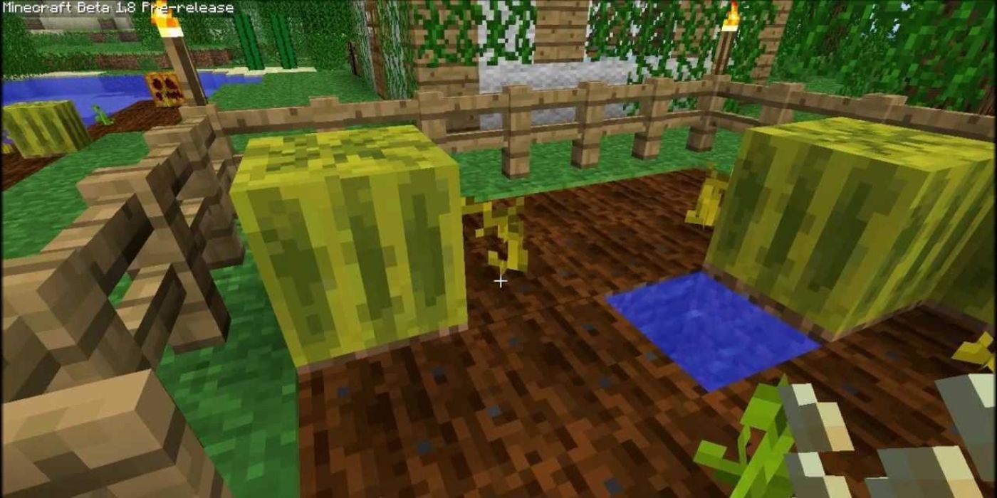 Minecraft melons being farmed