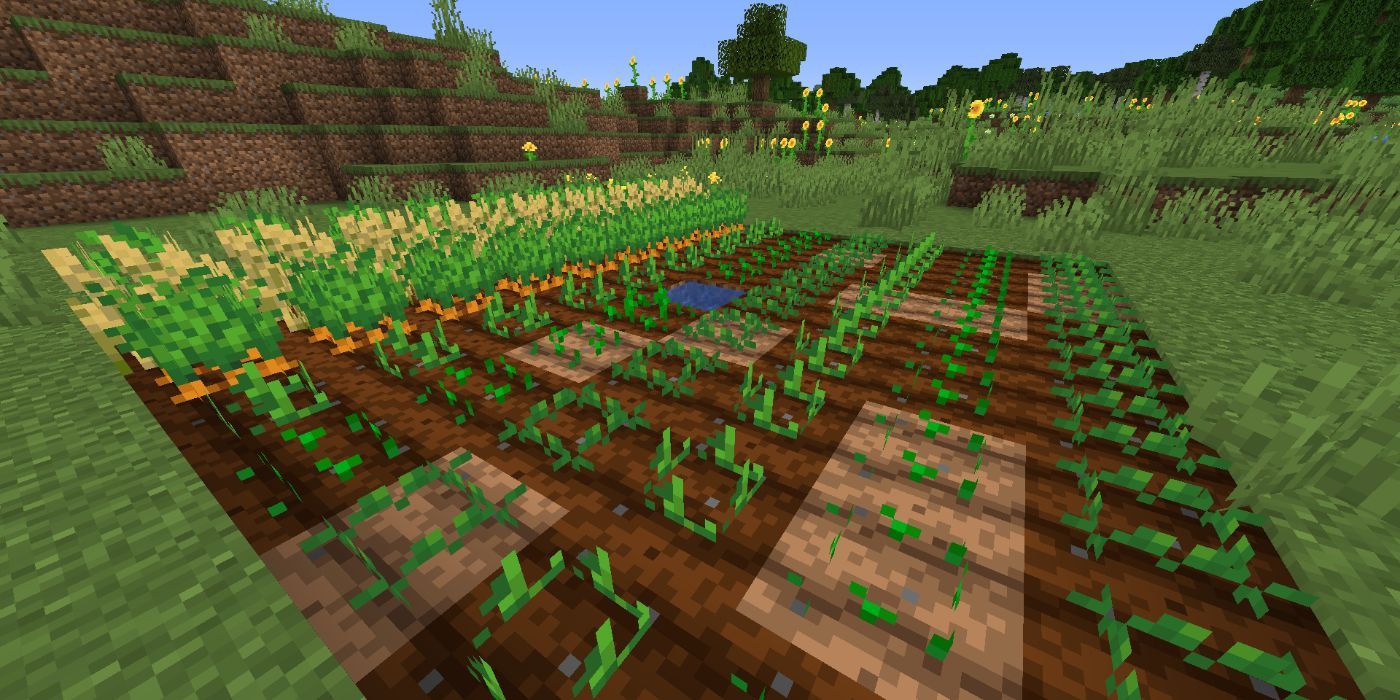 Minecraft planted farm