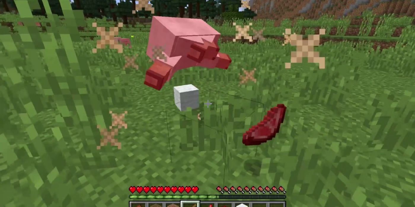 Minecraft raw mutton from dying sheep