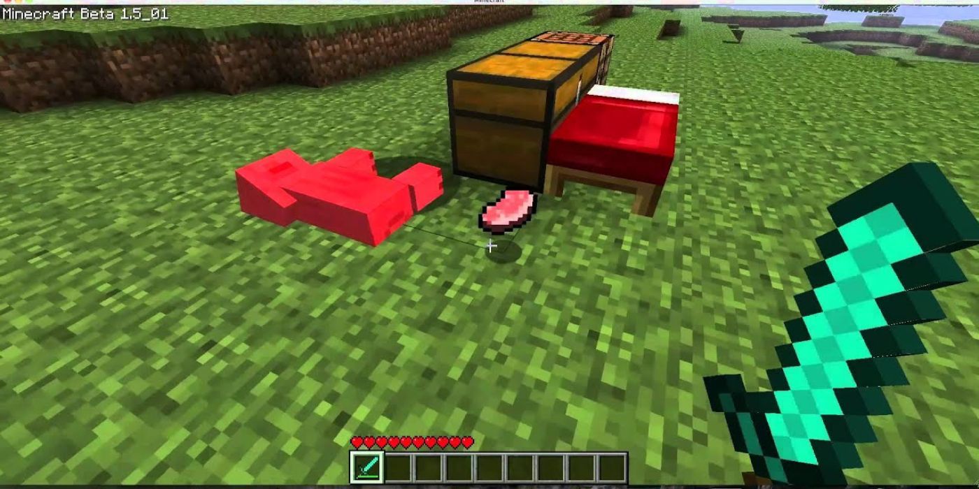 Minecraft raw porkchop from dying pig