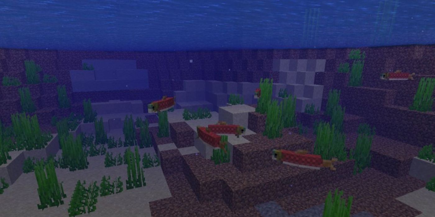 Minecraft salmon swimming underwater