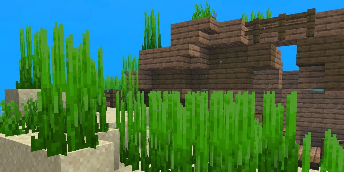 Minecraft seagrass underwater next to shipwreck