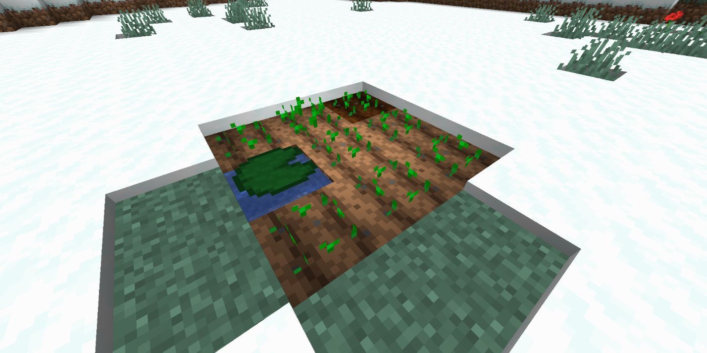 Minecraft snowy farm