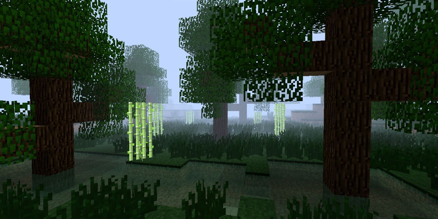 Minecraft modified version of the swamp biome